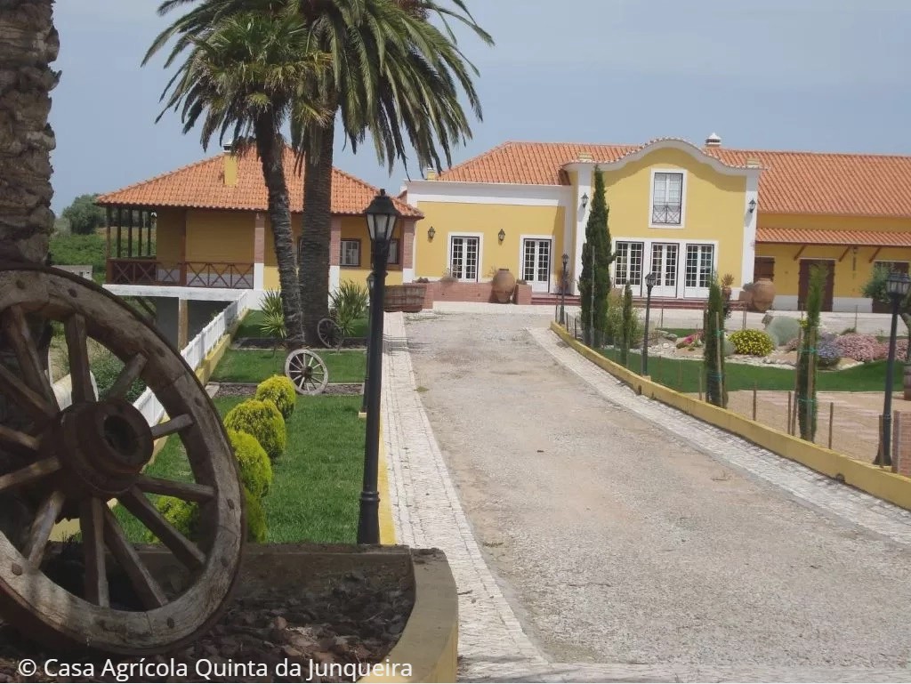 Casa Agrícola Quinta da Junqueira